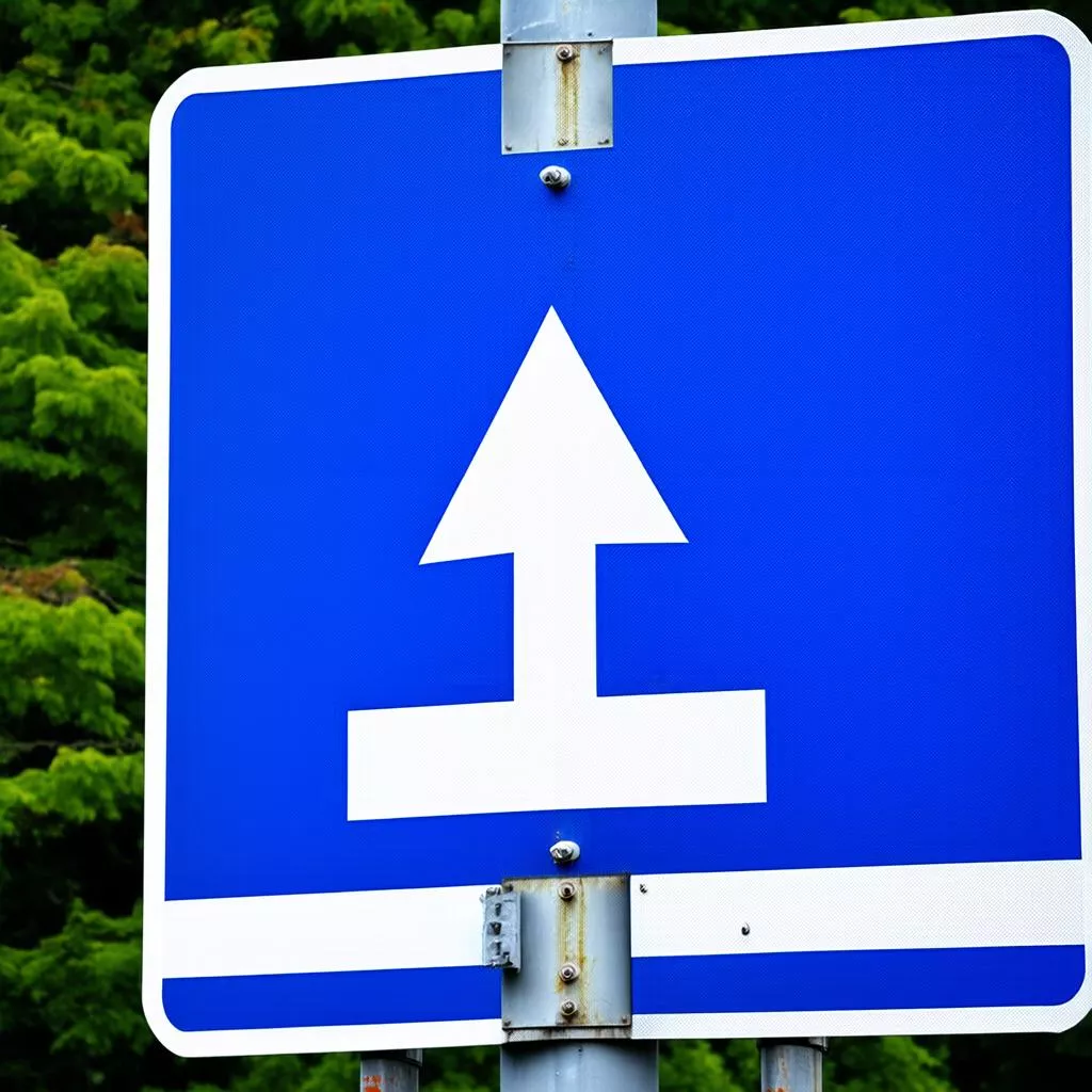 Biển Cho Phép Ô Tô Con Được Vượt: Nắm Rõ Luật Để Lái Xe An Toàn