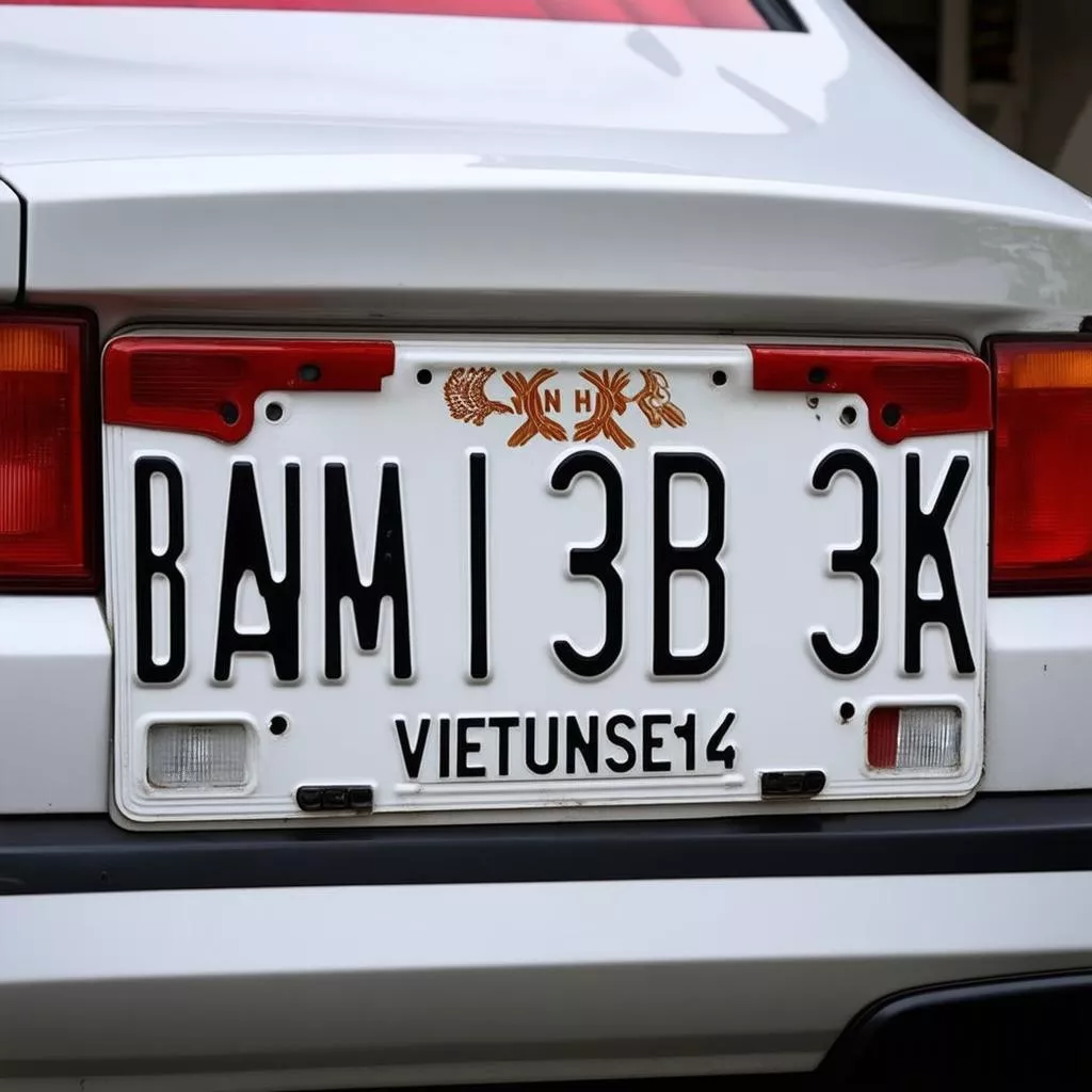 Car license plate