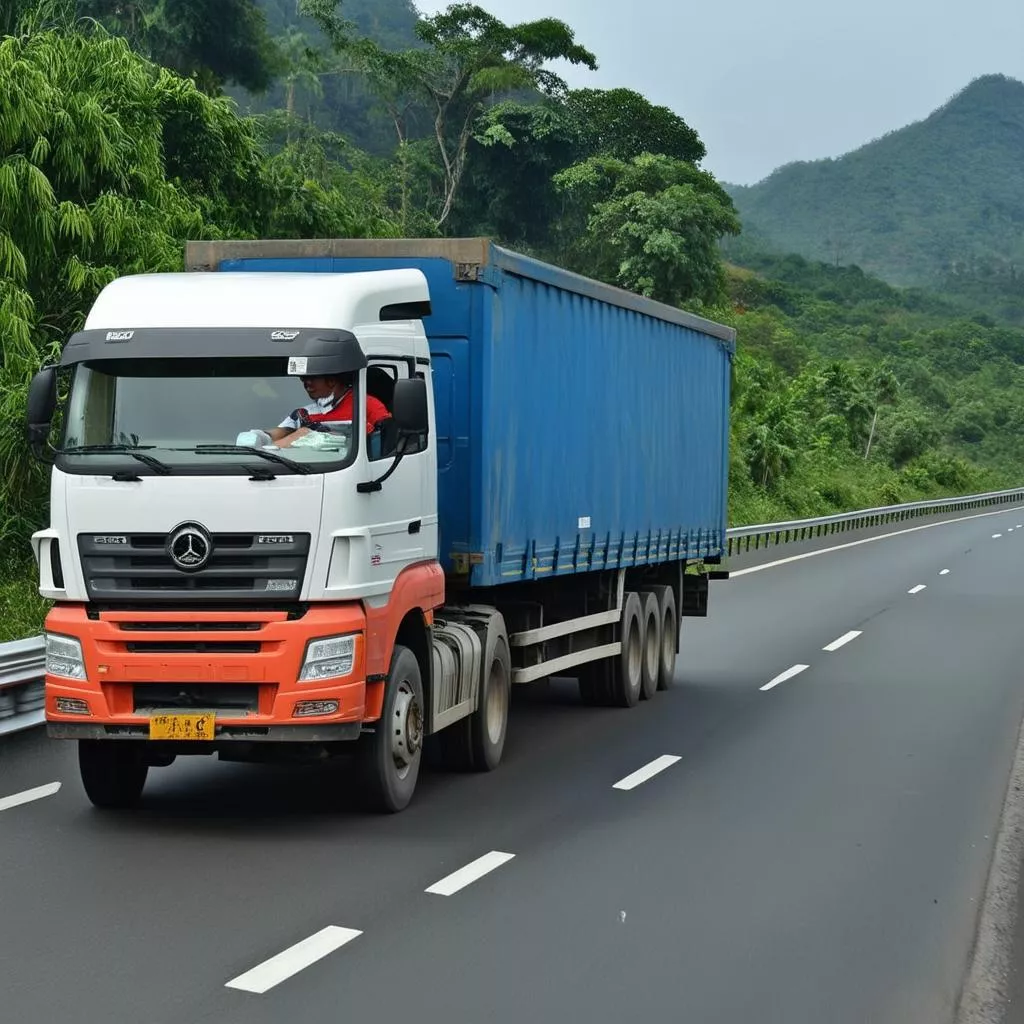 Truck driver on the road