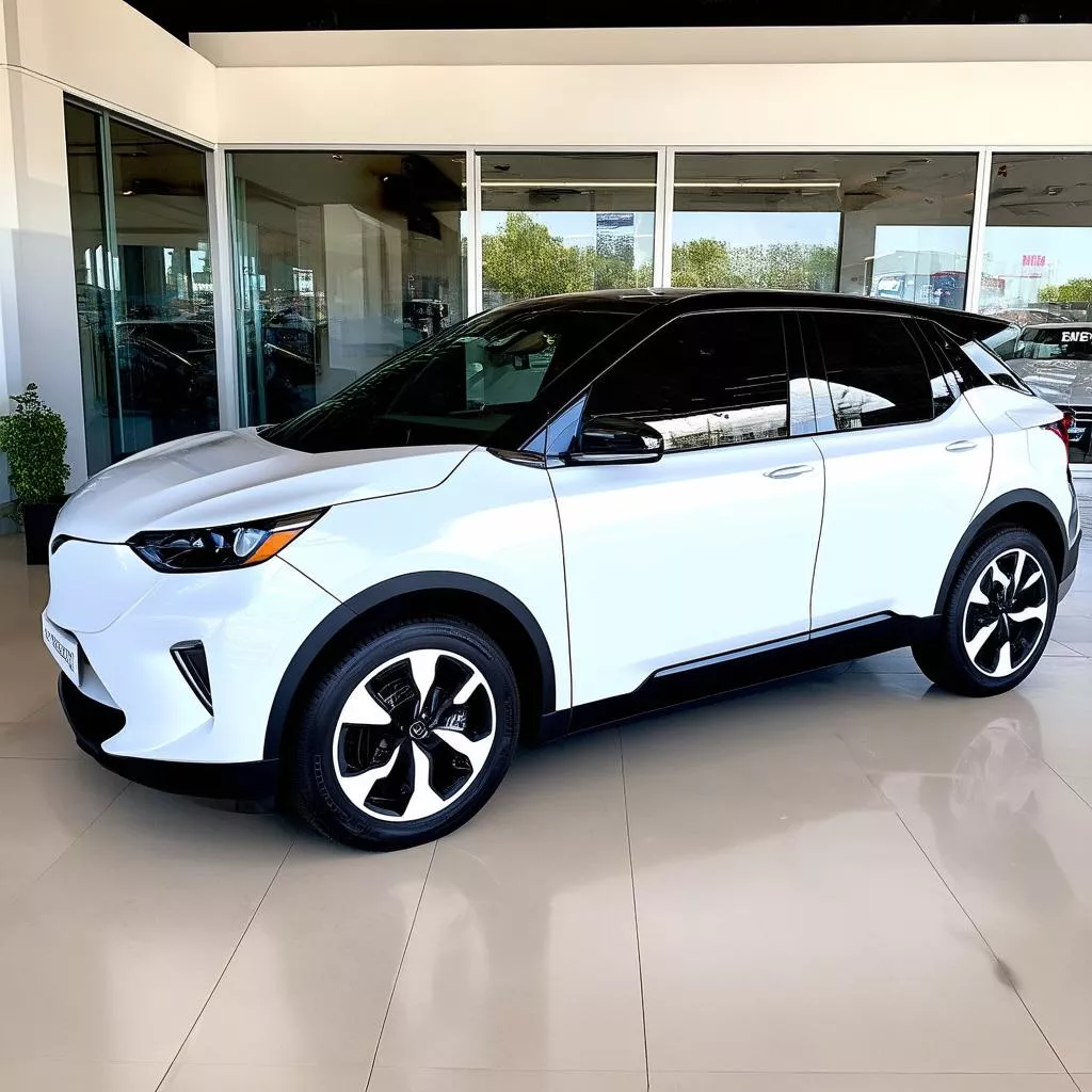 Mua Bán Xe Ô Tô Điện Cũ: Lựa Chọn Thông Minh Hay Cạm Bẫy Tiềm Ẩn?