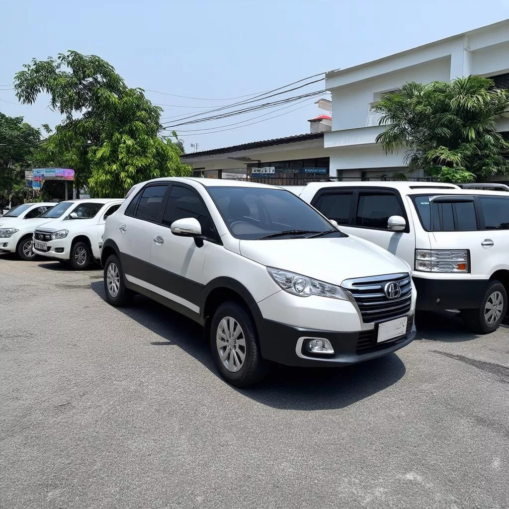 Cho thuê xe ô tô tự lái Bạc Liêu: Tự do khám phá vùng đất phương Nam