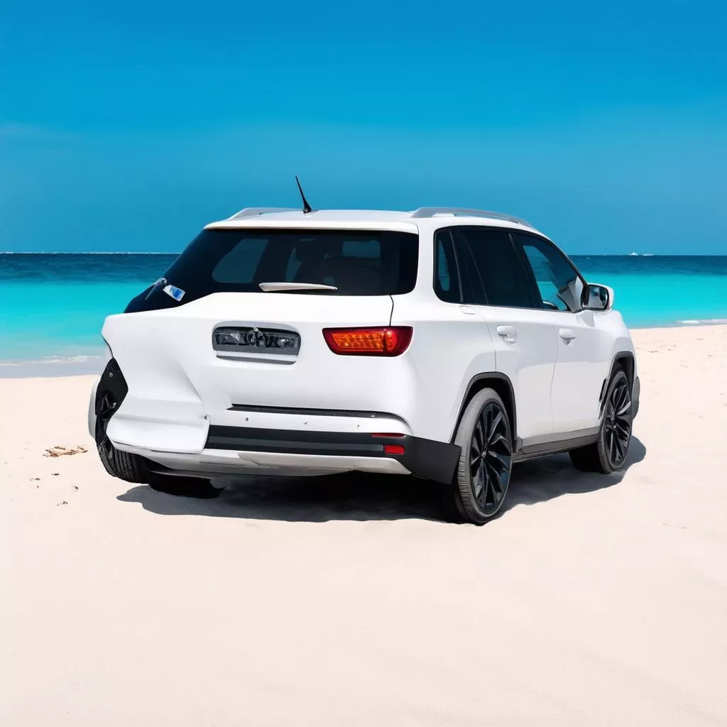 Nha Trang Self-Drive Car Rentals: Explore the Coastal City