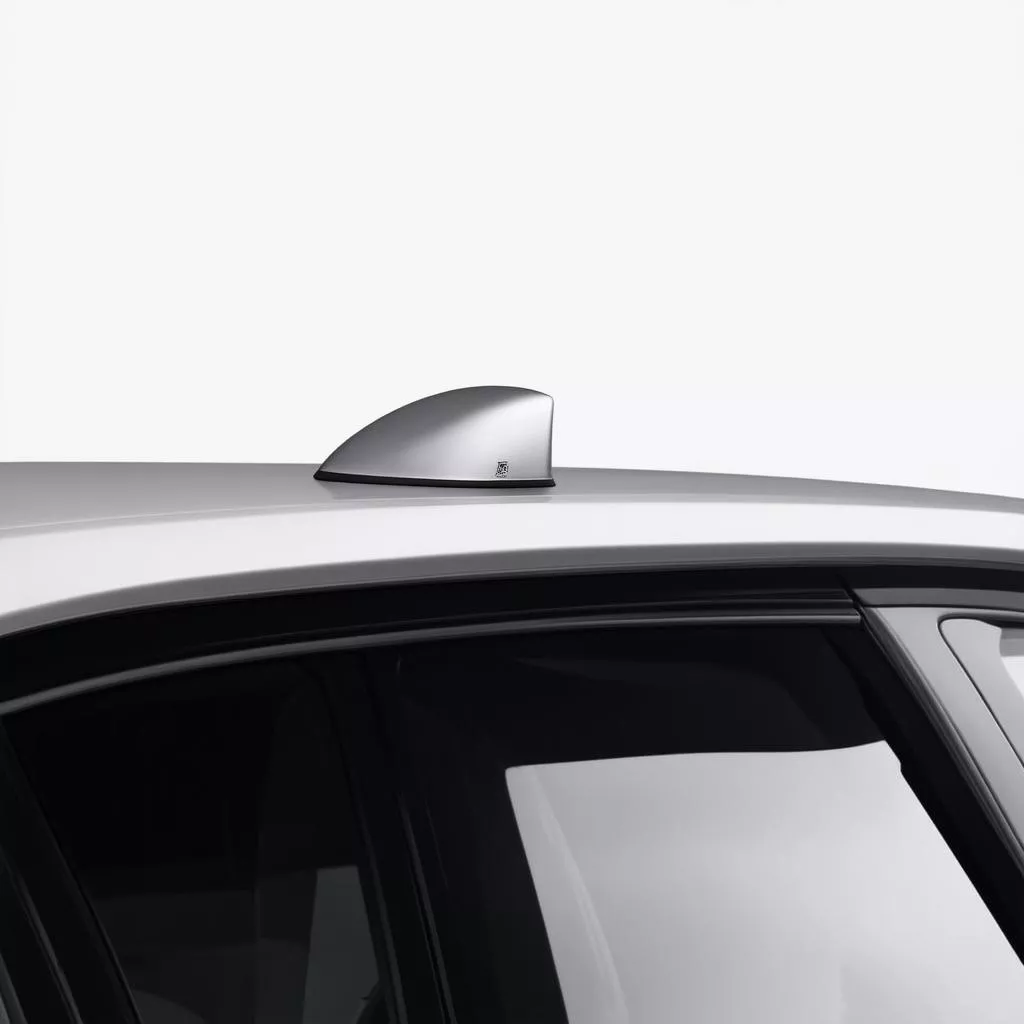 Aileron Requin Voiture : Feng Shui ou Simple Décoration ?