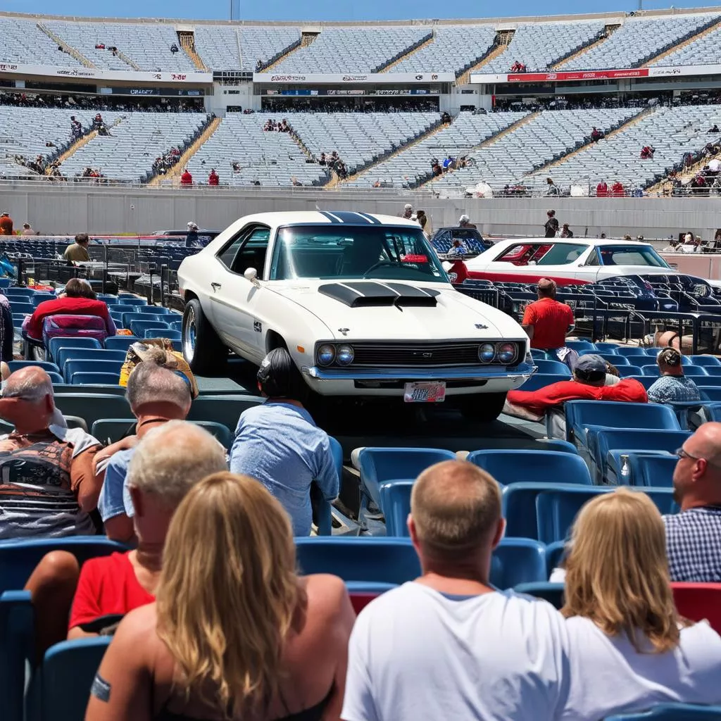 Xem biểu diễn xe hơi