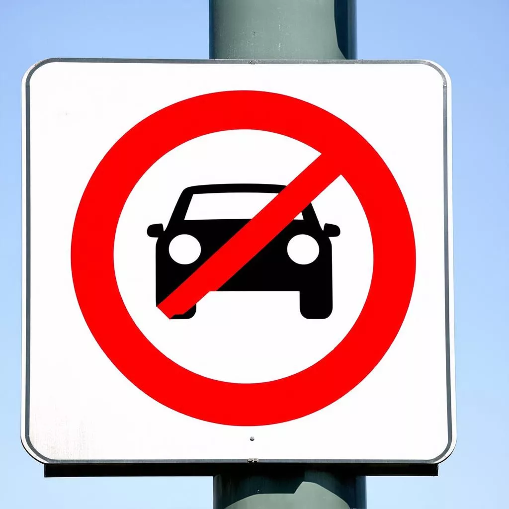 No Passing Zones: A Comprehensive Guide for Safe Driving