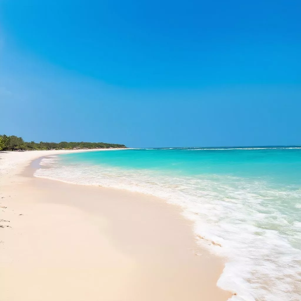 ナンバープレート96はどこ？魅力溢れるビントゥアン省を徹底解説