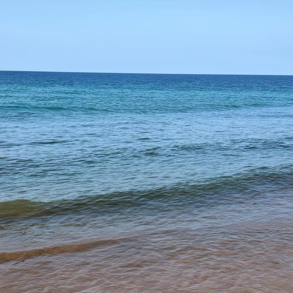 Biển Nhớ Quận 4