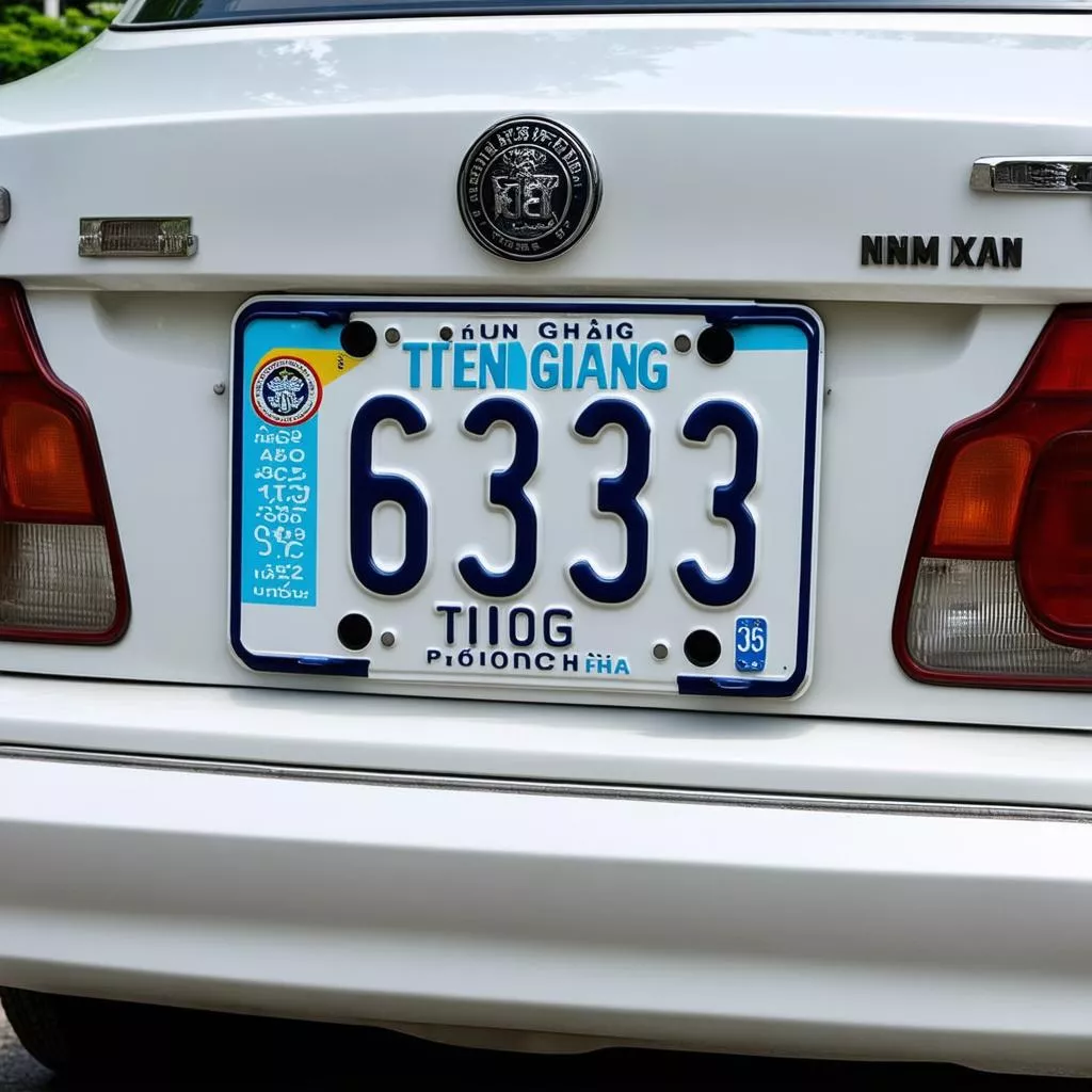 License Plate 63