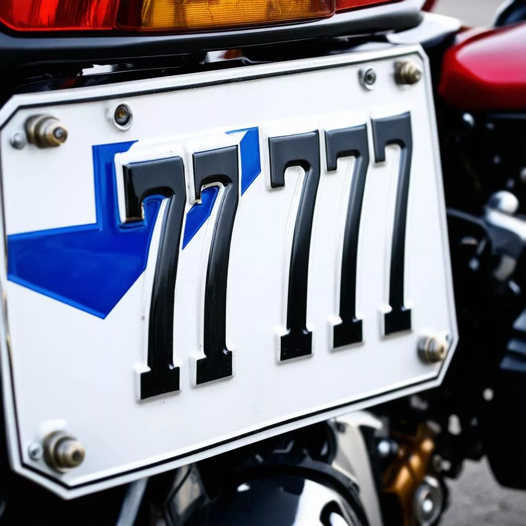 Belle plaque d'immatriculation