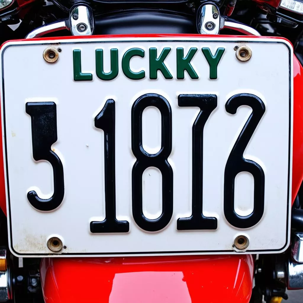 Premium license plate