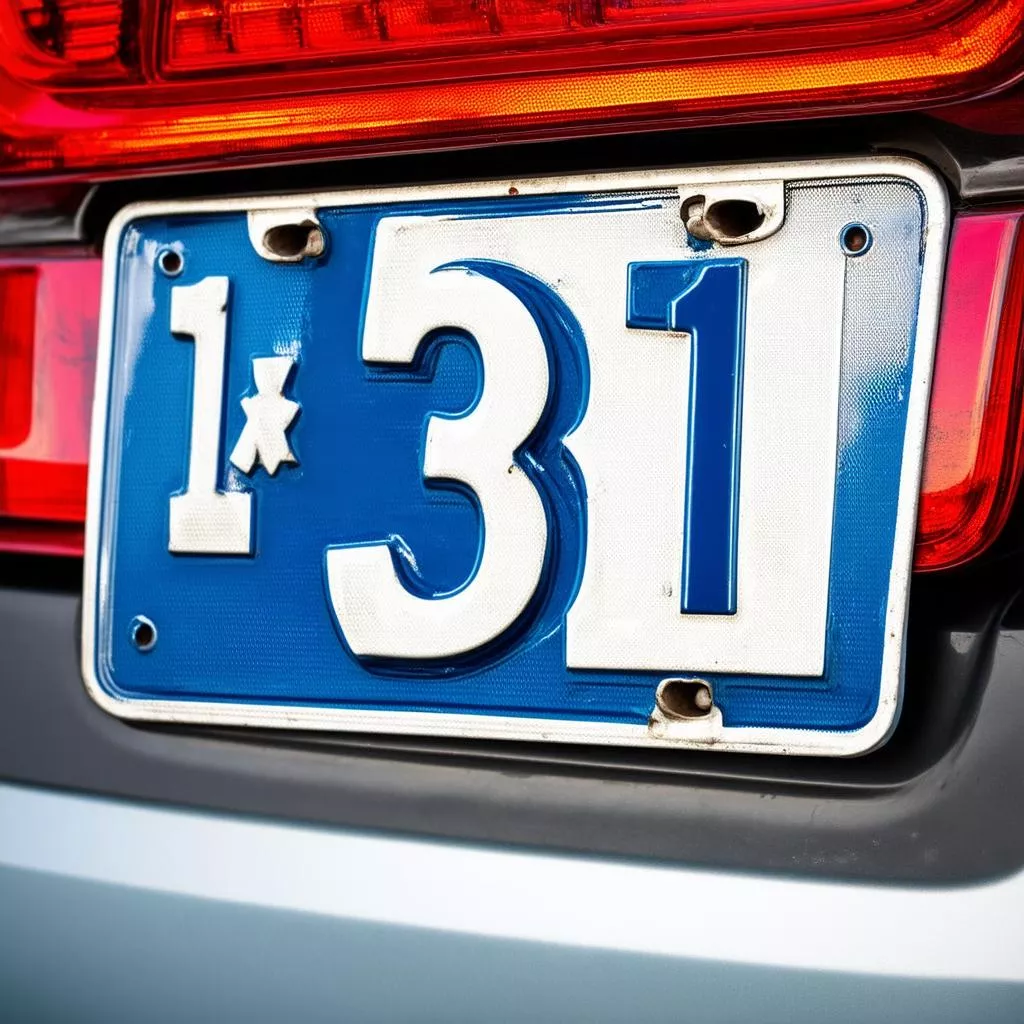 31号车牌特写