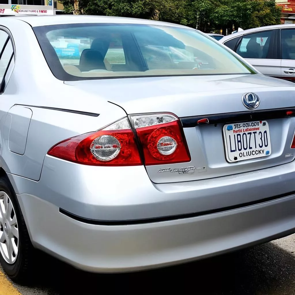 Feng shui compliant license plate