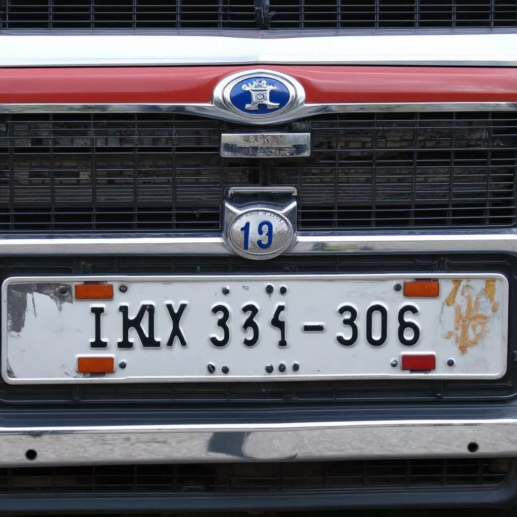 Plaque d'immatriculation personnalisée pour camion