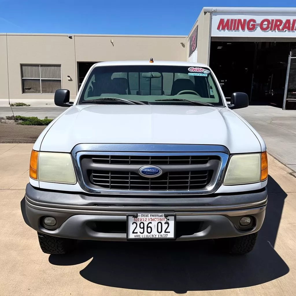 Lucky truck license plate