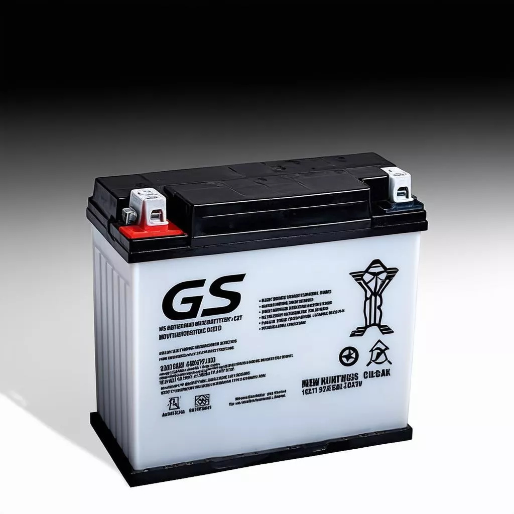 GS Motorcycle Battery Price List: Choosing the Right One for Your Ride