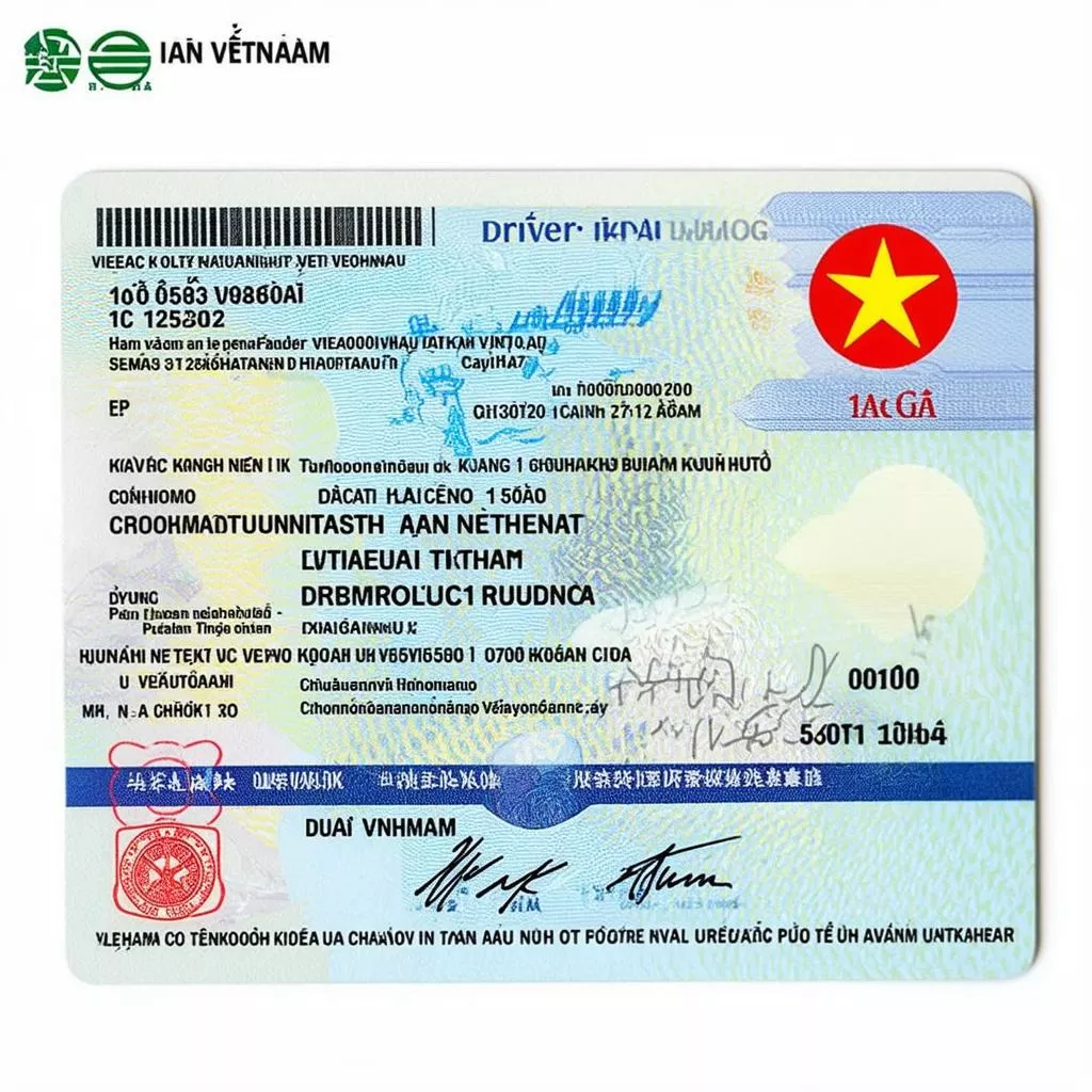 Vietnamese driving license categories