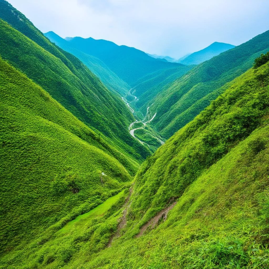 Rach Gia to Da Lat Bus: A Journey to the City of Flowers