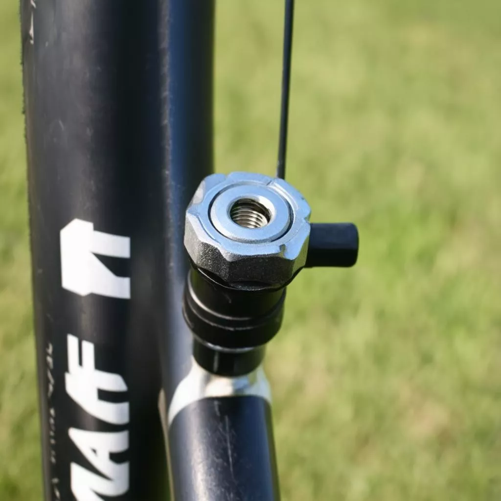 Đầu Van Xe Đạp Là Gì? Tìm Hiểu Chi Tiết Từ A Đến Z