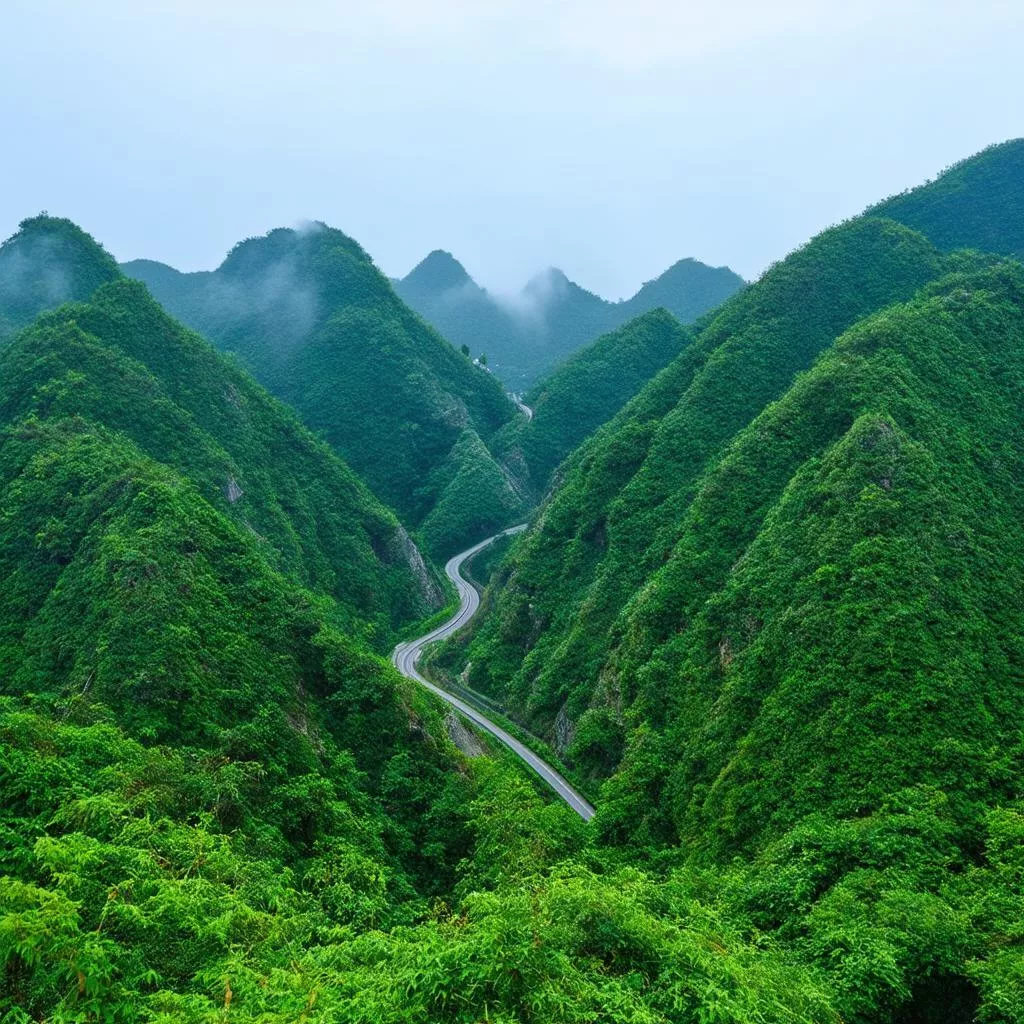 Xe Lao Xuống Vực Ở Đèo Hải Vân: Nỗi Ám Ảnh Trên Cung Đường Huyền Thoại