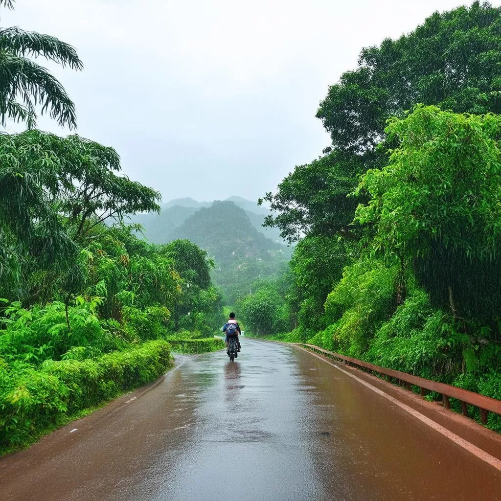 Traveling Da Lat during the rainy season