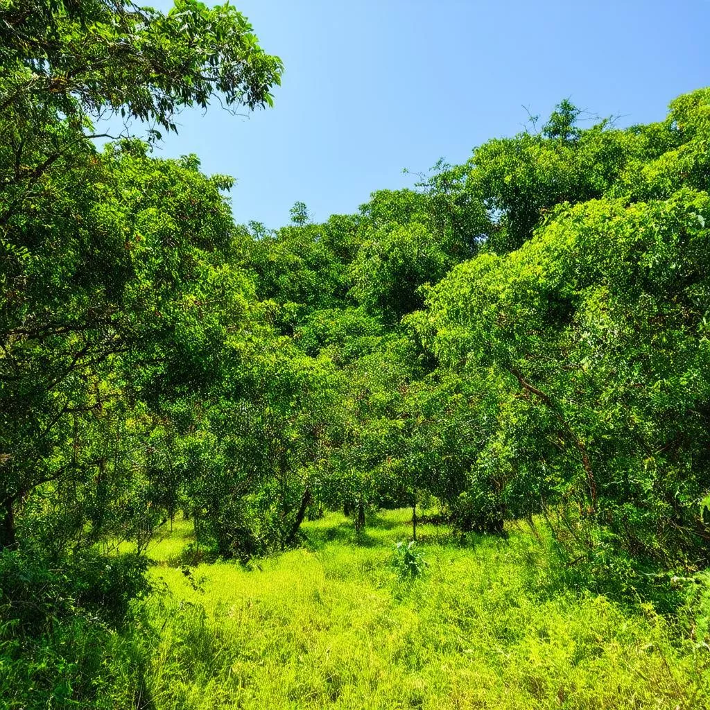 Eco-tourism resort nestled in nature