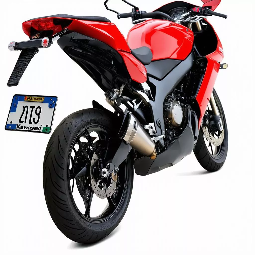 ナンバープレートホルダー装着済みNinja EX250