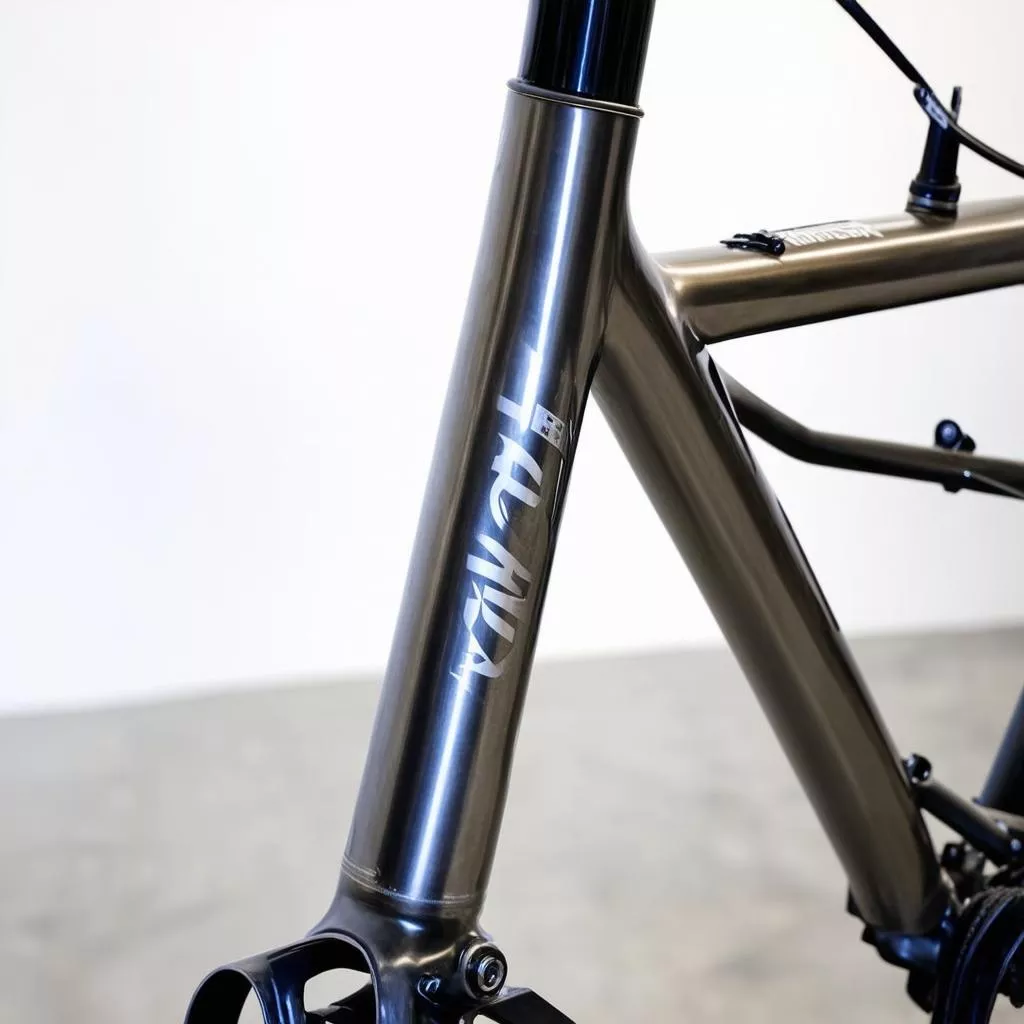 Xe Đạp Van Nicholas: Khám Phá Chiếc Thú Cưỡi "Thần Thoại"