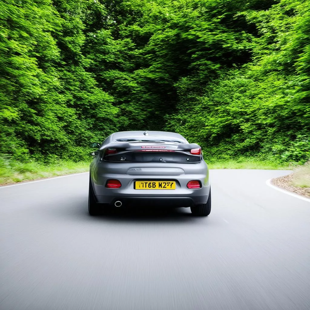 Auto con pneumatici su strada
