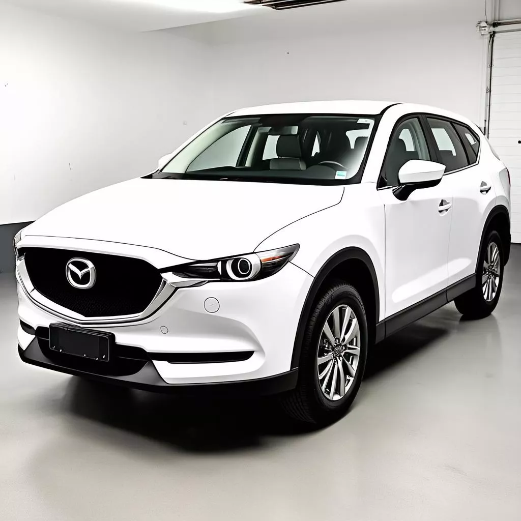 Xe Ô Tô CX 5: Từ Phong Thủy Đến Trải Nghiệm Lái