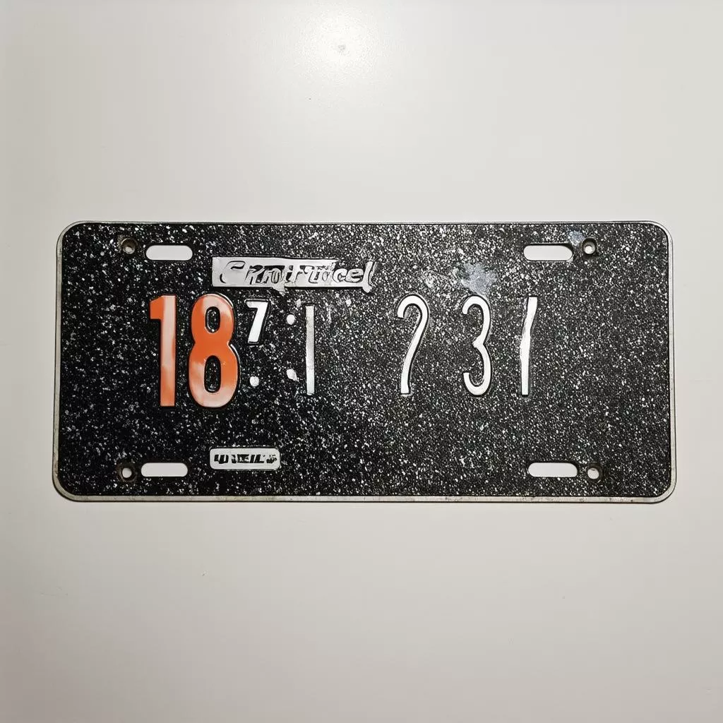 Mica biển số xe máy đẹp