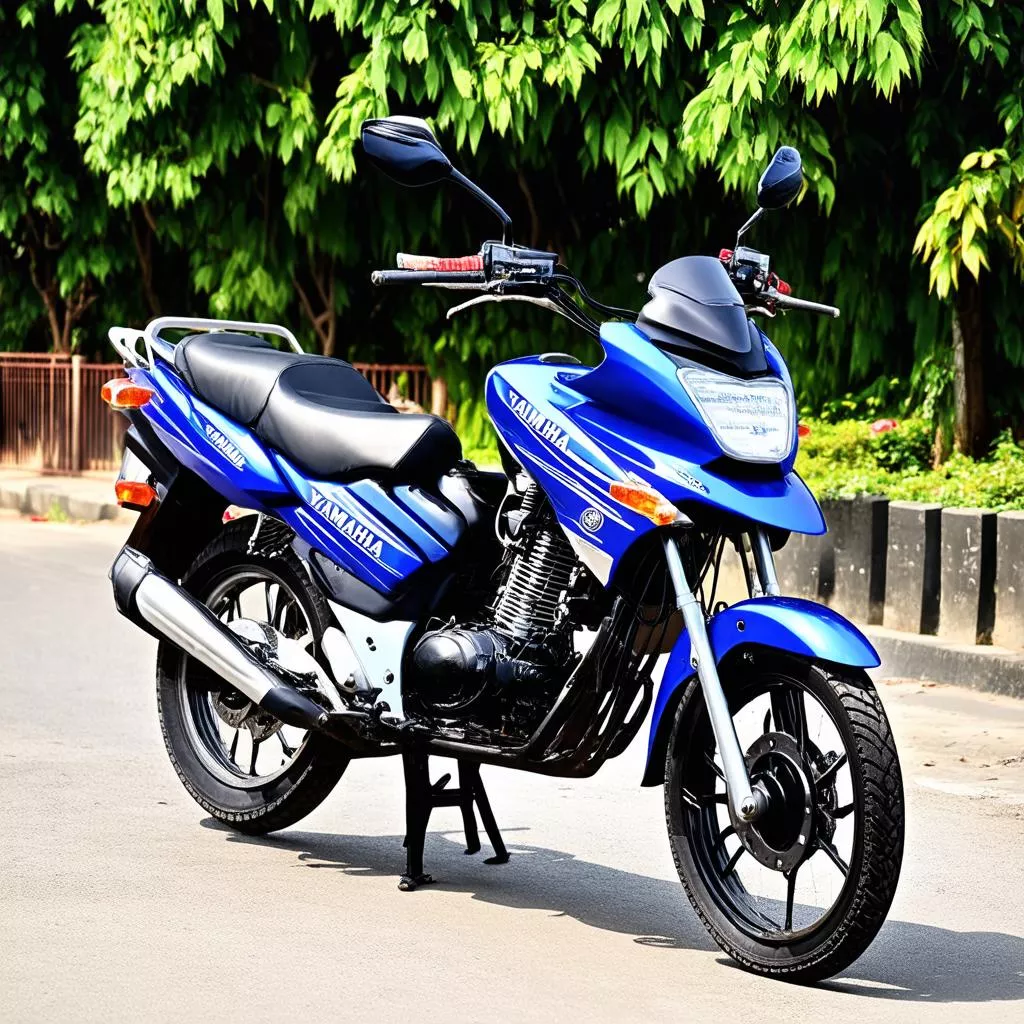 Yamaha Sirius Price in Hue: Your Ideal Companion