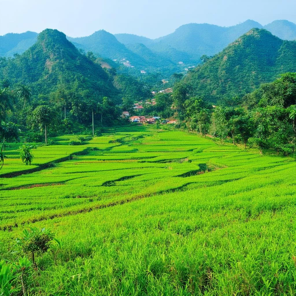 Biển số xe NG là của tỉnh nào? Giải mã ý nghĩa biển số xe NG