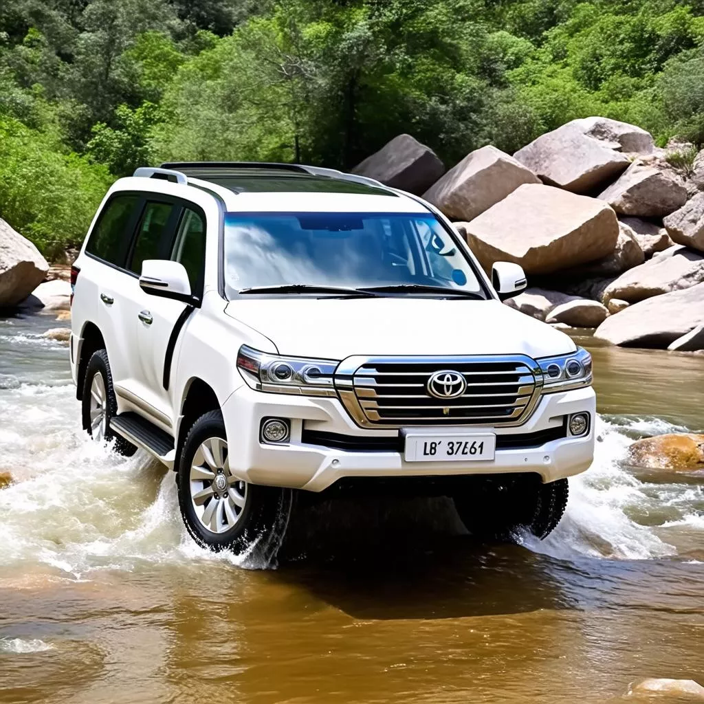 Toyota Land Cruiser VX off-road