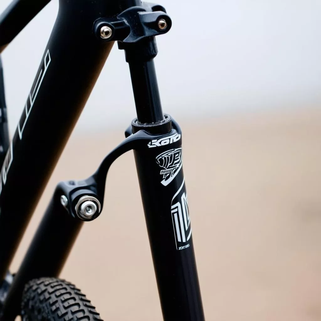 Van hơi phuộc hơi xe đạp