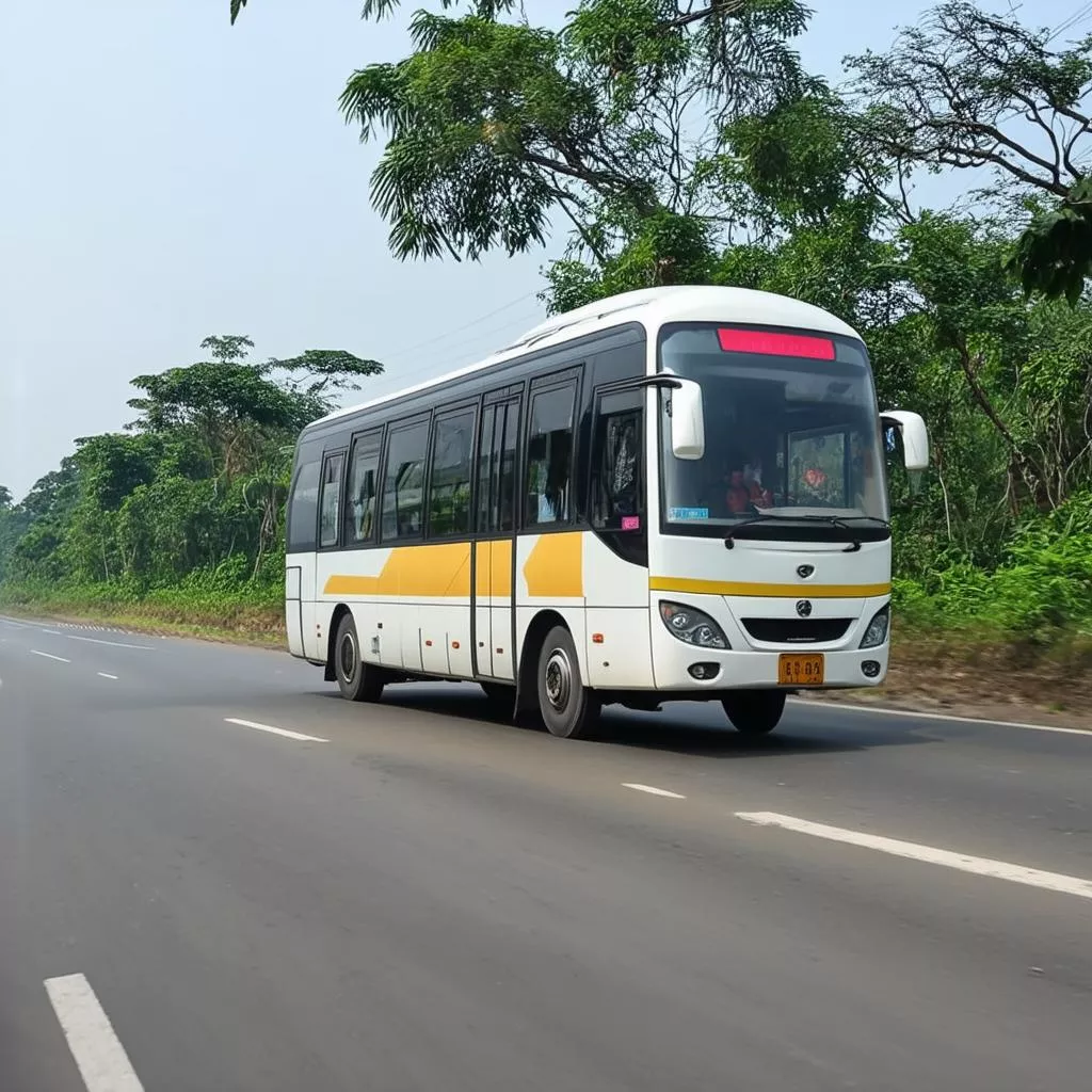 Hành Trình Thuận Buồm Xuôi Gió Từ Rạch Giá Đi An Giang Bằng Xe Khách