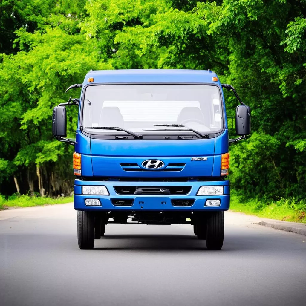 Blue Hyundai 3 ton truck