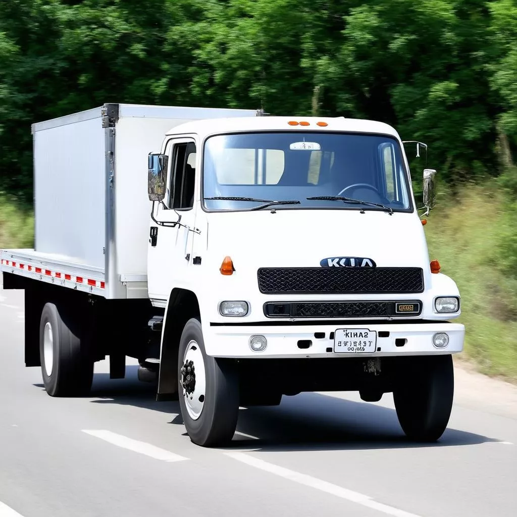 Xe tải Kia 3 tấn đời 2003: Lựa chọn kinh tế cho người cần cày cuốc?