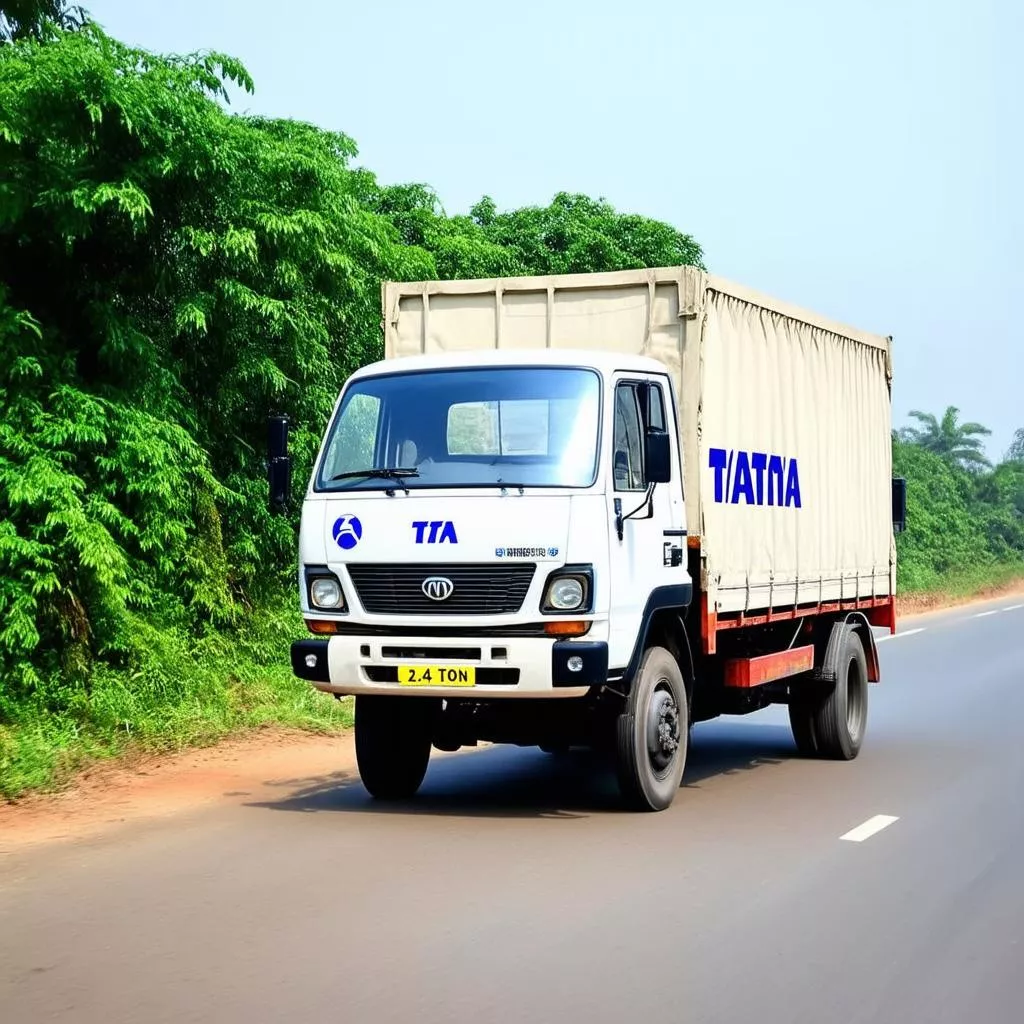 xe-tải-tata-2.4-tấn-tải-hàng