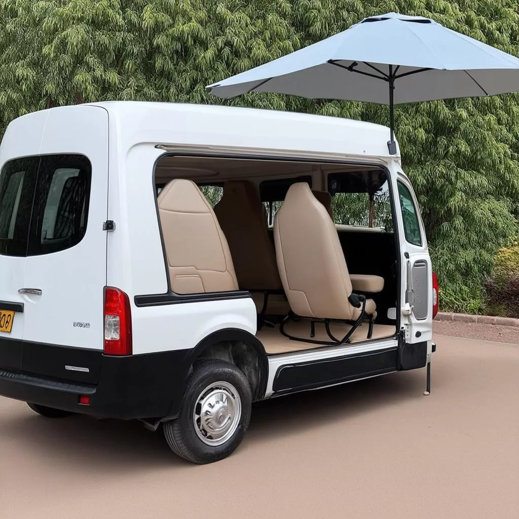 Should You Buy a 2-Seater Van? A Financial & Feng Shui Perspective
