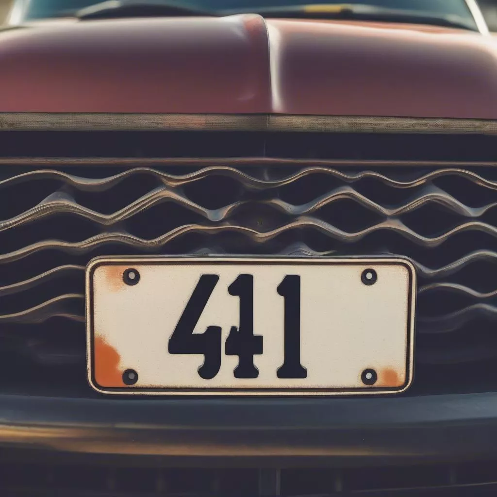 The Meaning of License Plate Number 41 in Vietnam