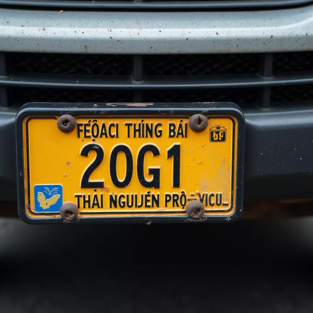 Decoding License Plate 20G1: Location and Meaning