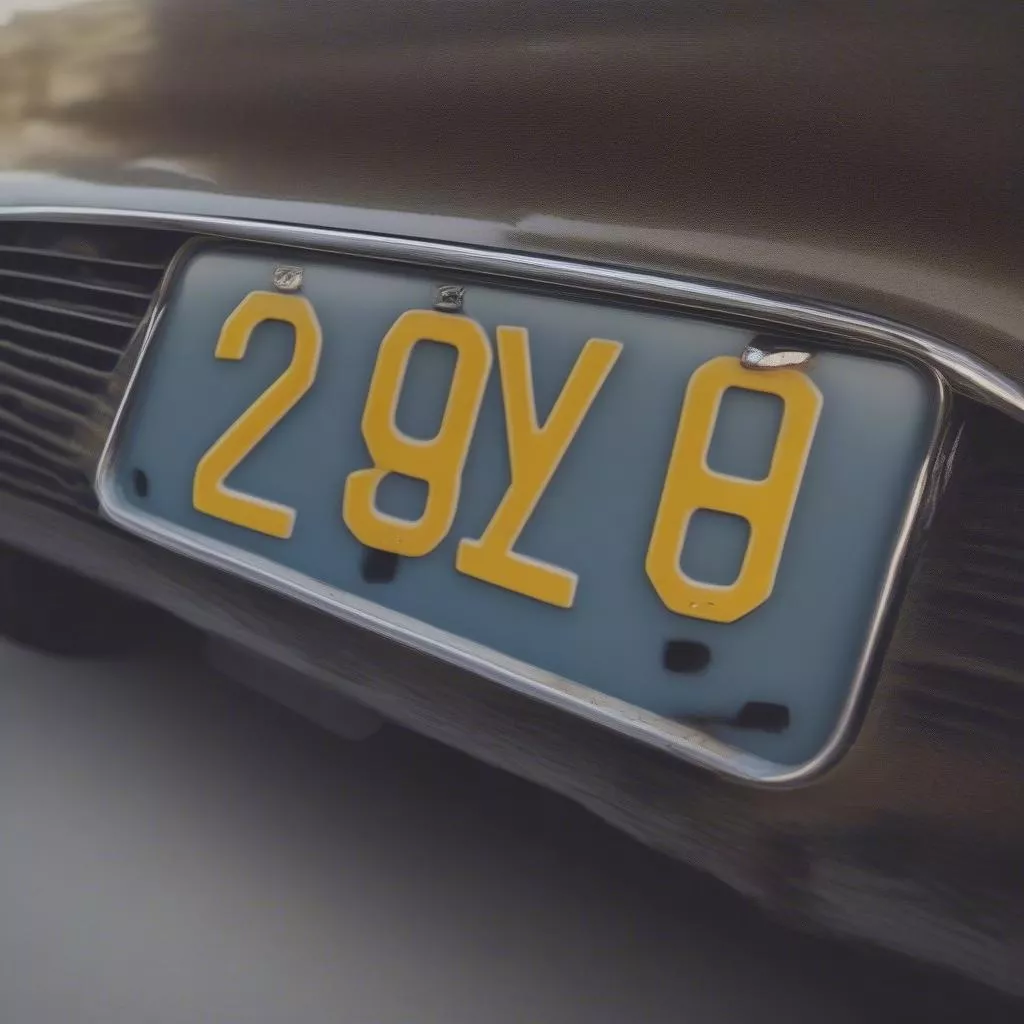 Biển Số Xe 29Y1 Là Ở Đâu? Bí Mật Từ Những Con Số