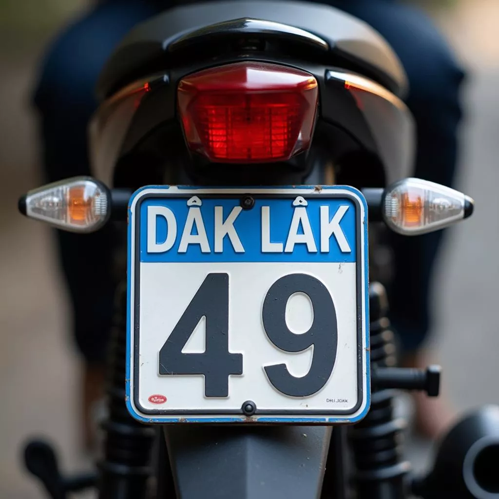 49번 자동차 번호판: 닥락의 상징