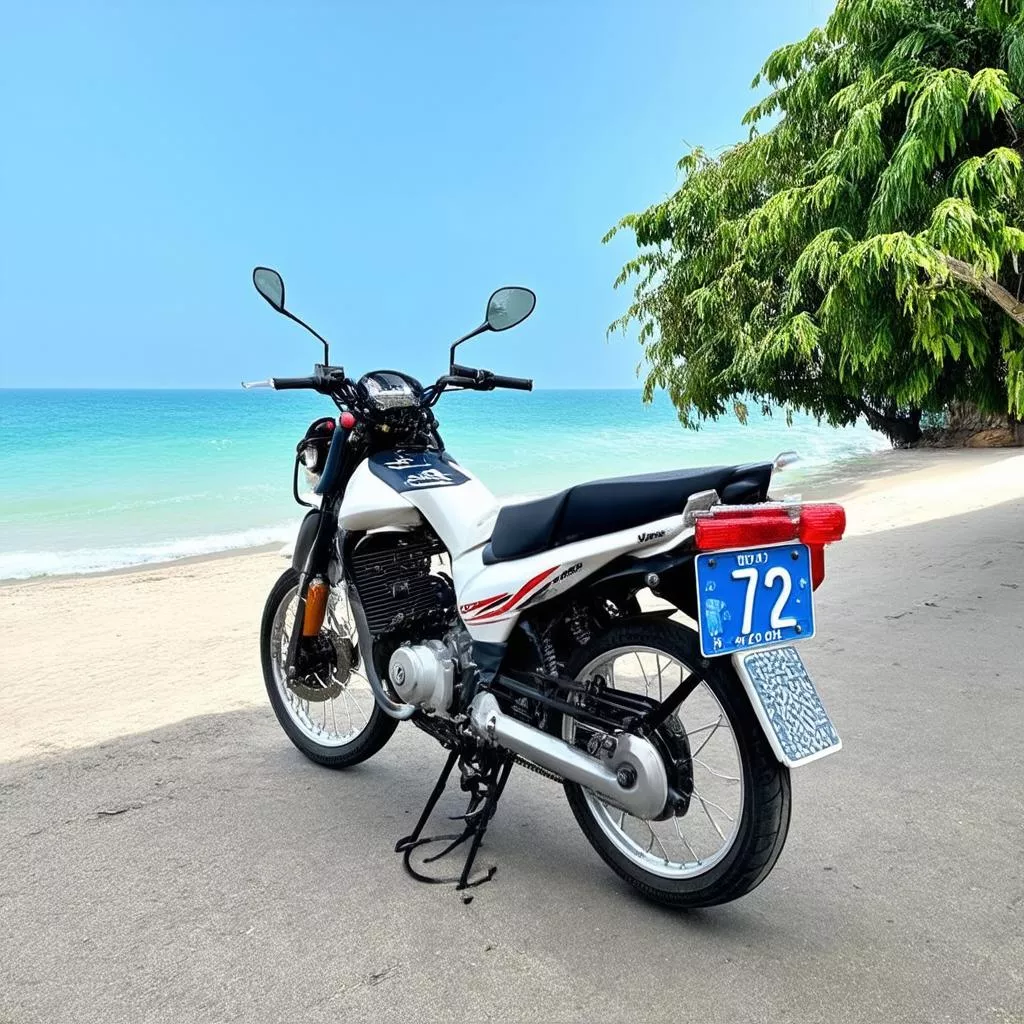 Ba Ria - Vung Tau License Plates: Meaning and History