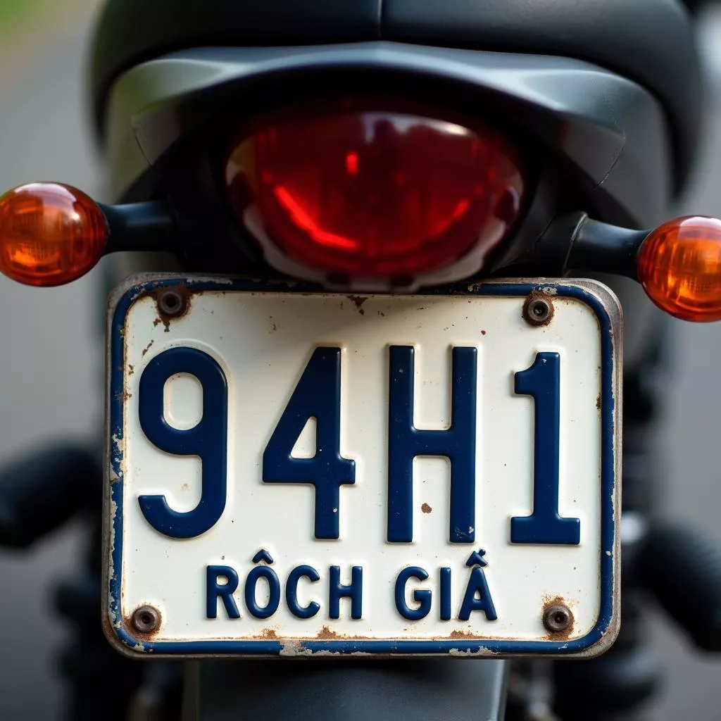 94H1车牌号：解读“椰青酒浓”的坚江省