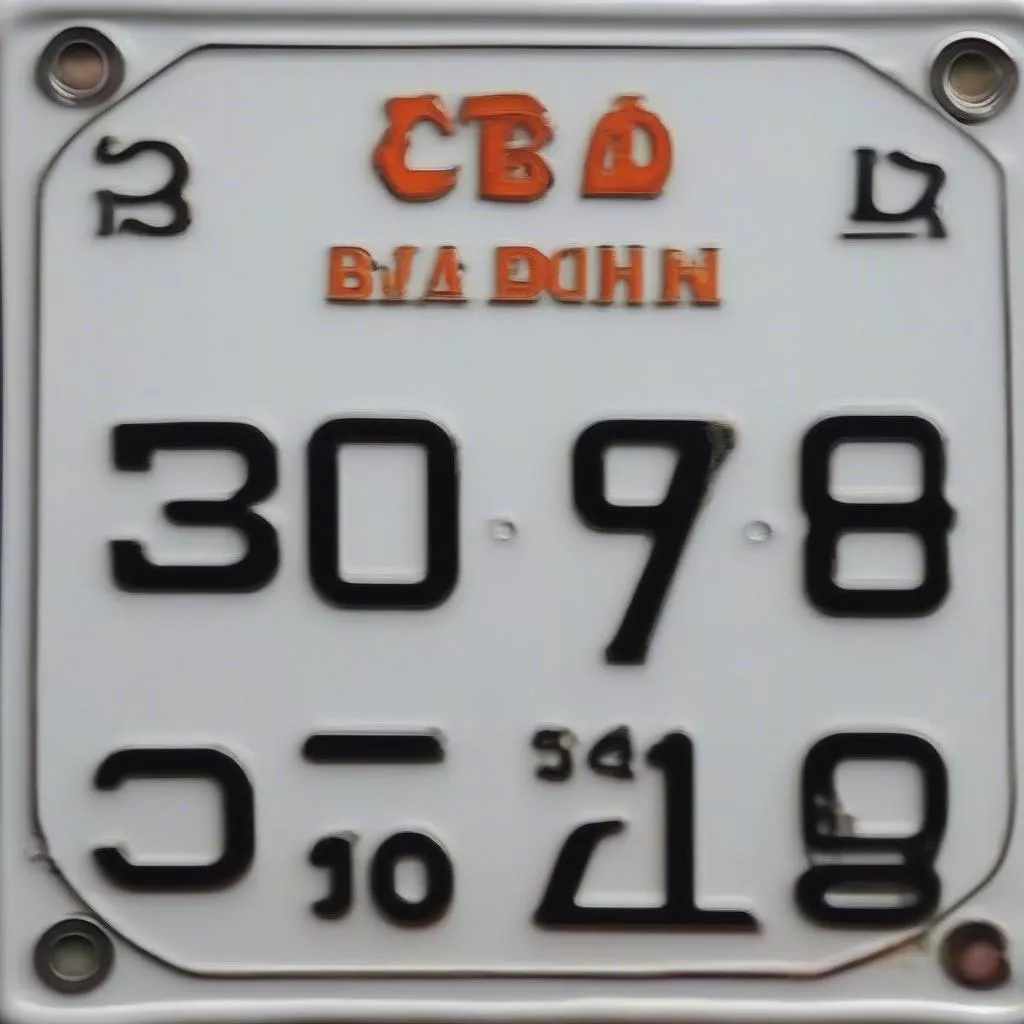 빈딘 자동차 번호판: 의미, 풍수, 알아야 할 사항