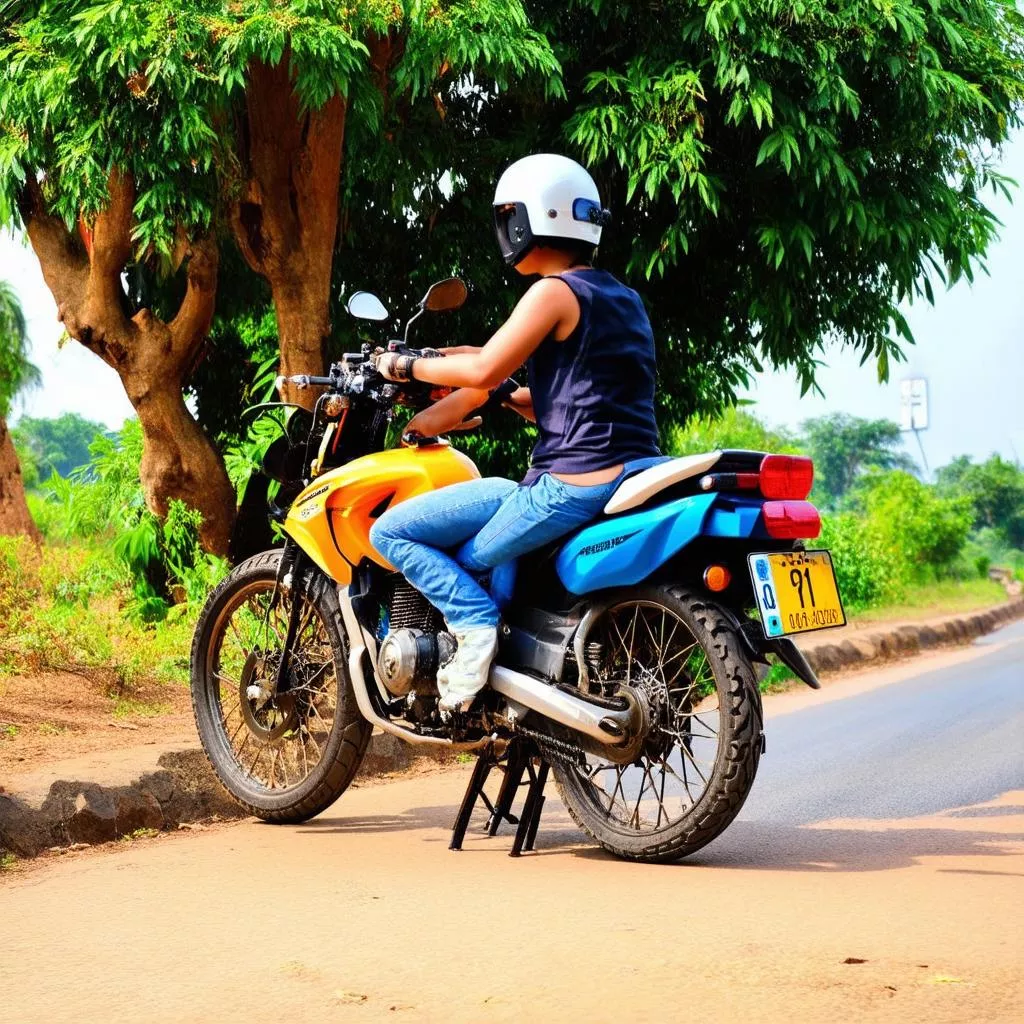 Kennzeichen der Bezirke in Bình Thuận: Bedeutung und Feng Shui