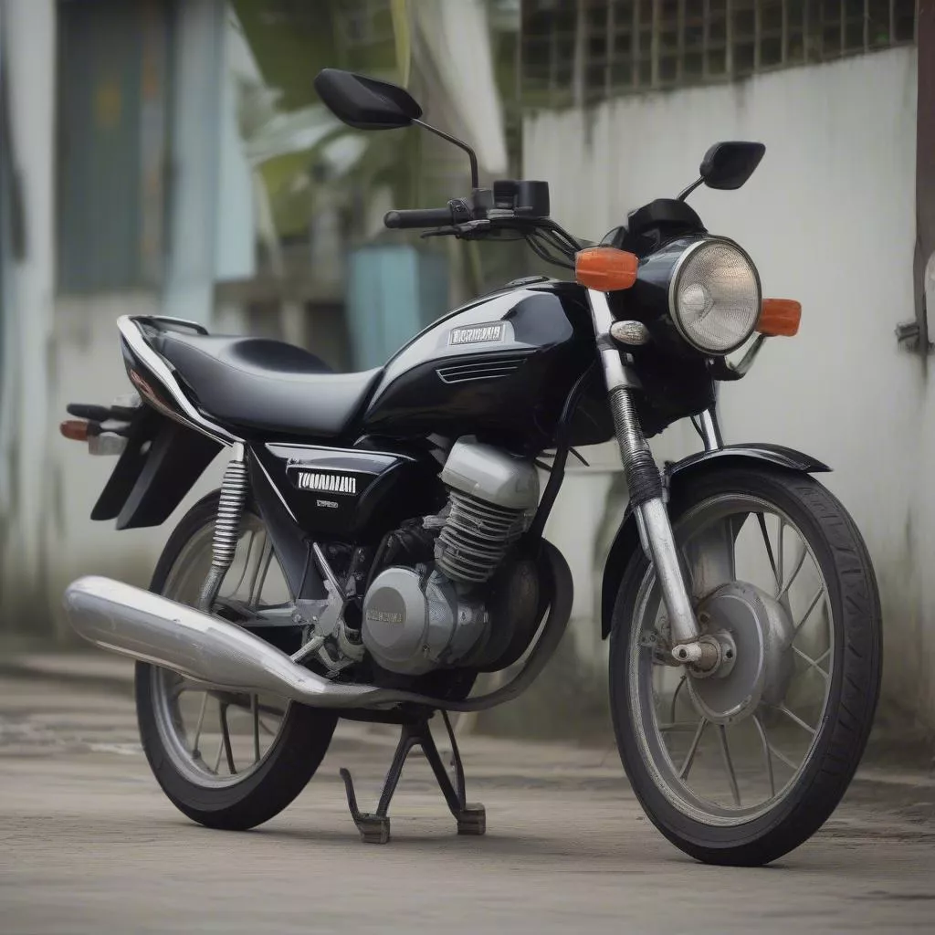 Exciter license plate and Feng Shui