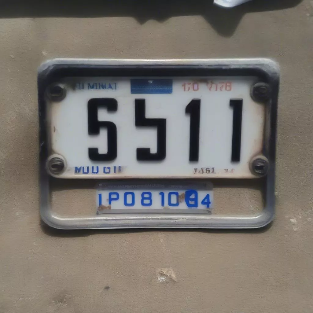 Quang Ngai Motorcycle License Plates: Meaning and Regulations