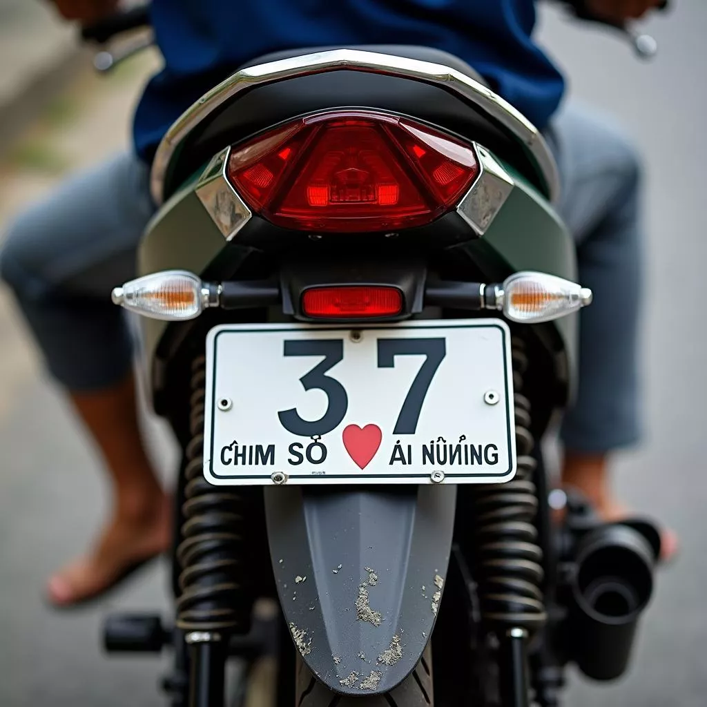 Lucky Number Plate 37 in Vietnam: Meaning and Beliefs